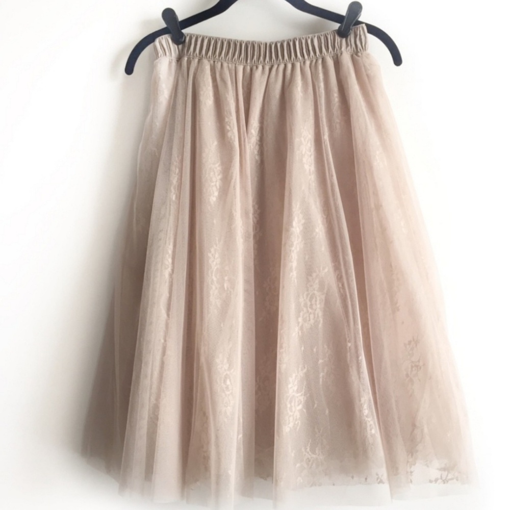Francesca's Lace & Tulle Beautiful Skirt